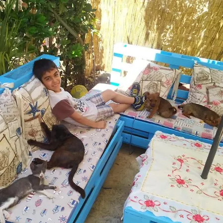 Bed & Breakfast Zia Delia *