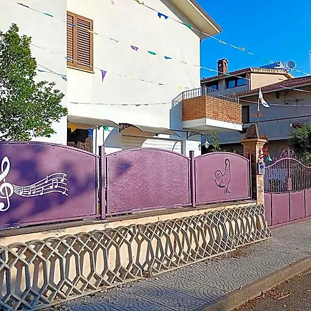 Zia Delia