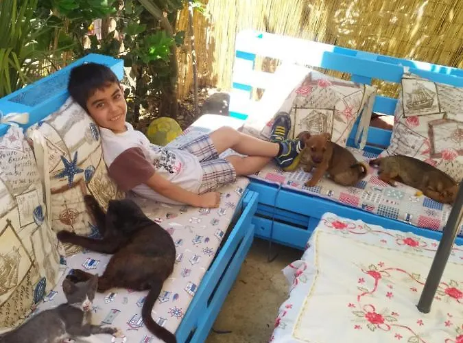 Bed & Breakfast Zia Delia 3*